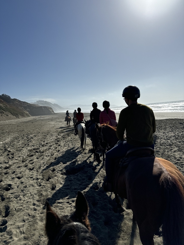 Sunset Ride, Cookout & Pod Stay: the evening trail line heading down the beach