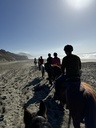 Sunset Ride, Cookout & Pod Stay: the evening trail line heading down the beach