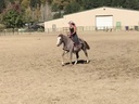 Private Lesson & Pod Stay: a private horsemanship lesson in the arena