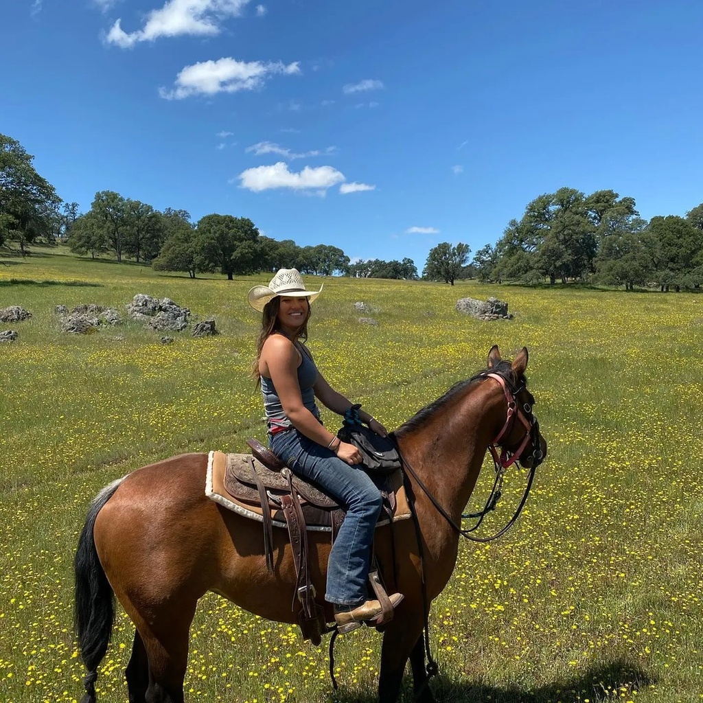 Trail Ride, Sip & Paint & Pod Stay with Morning Lesson | 2 Days, 1 Night (per person)