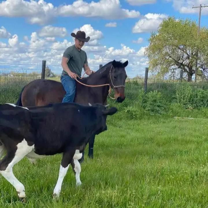 Lesson Club | Bronze | 4 days/Month Private