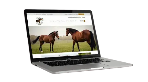Starter Website