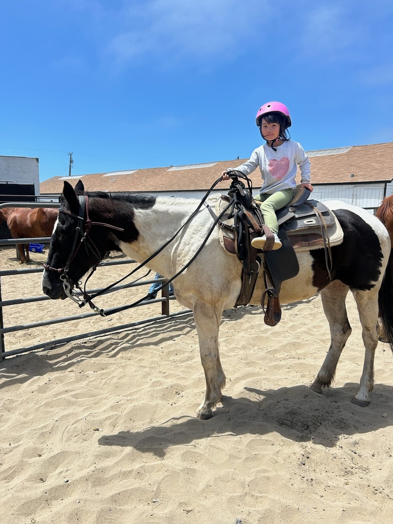 [PARTY-ADD-HORSE] Party Add-On | Extra Horse